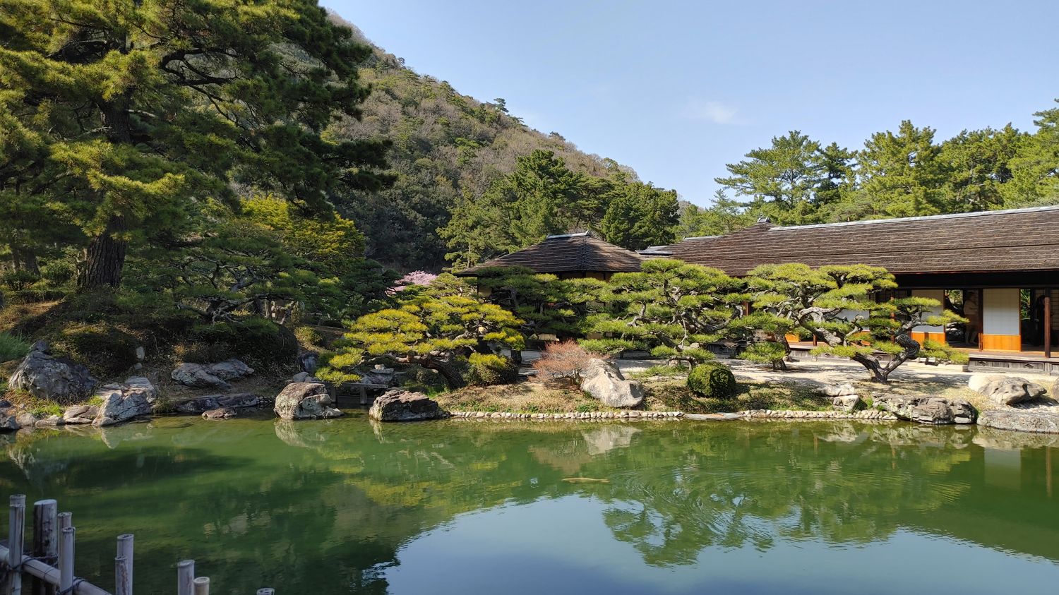 a portion of the castle complex across the pond with Japanese styled trees looking like large bonsai