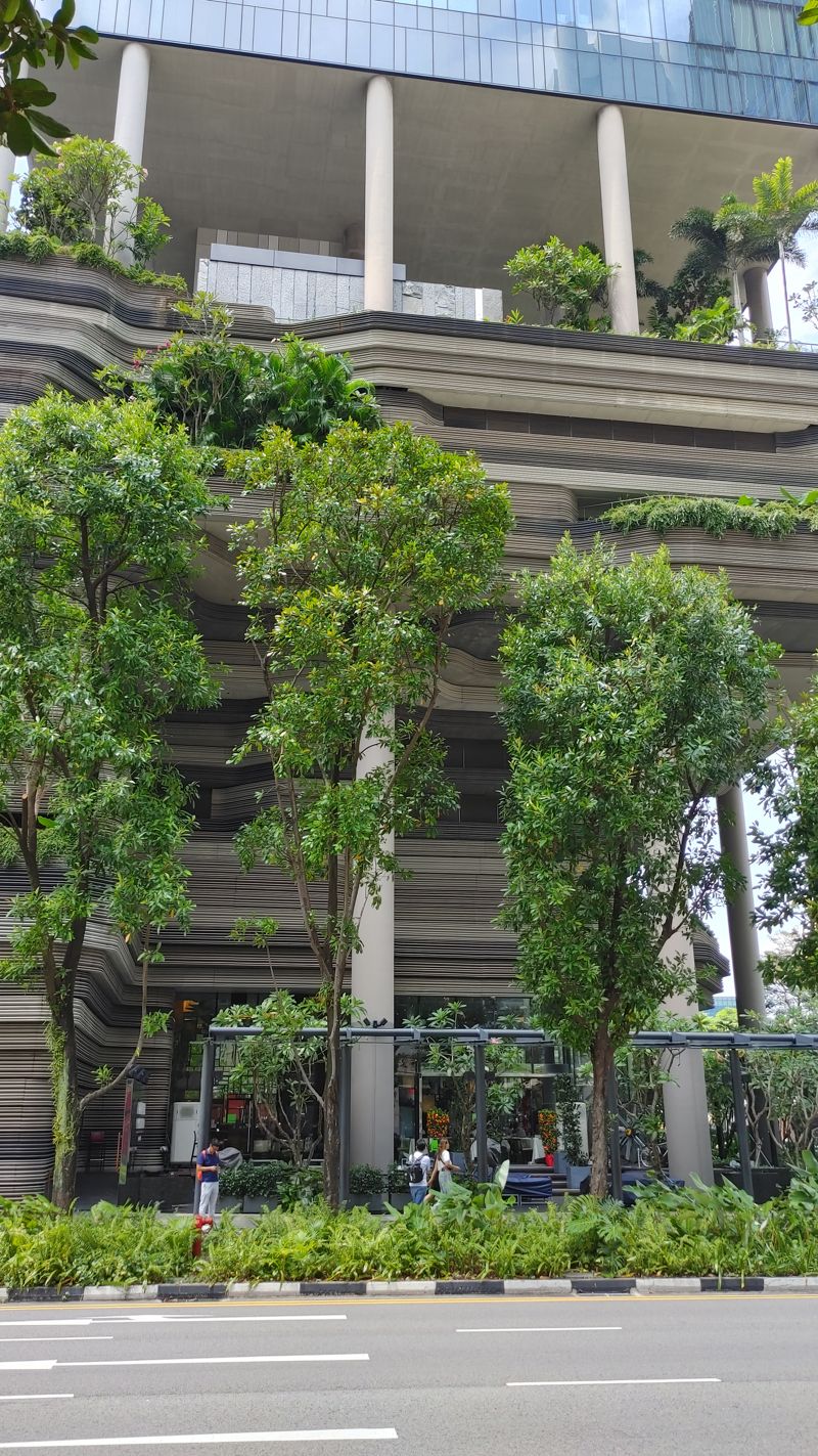 sky scraper with interesting layered, browng "layers" with a balcony level with trees