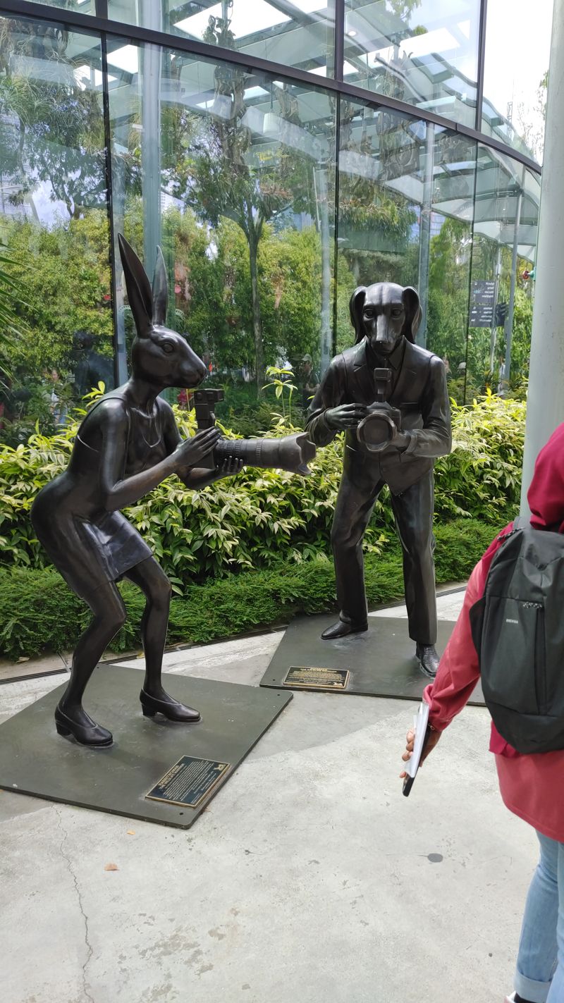bipedal rabbit in dress and dog in suit with cameras held chest high, taking photos