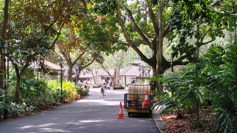 canopy covered paved path with shops in the background