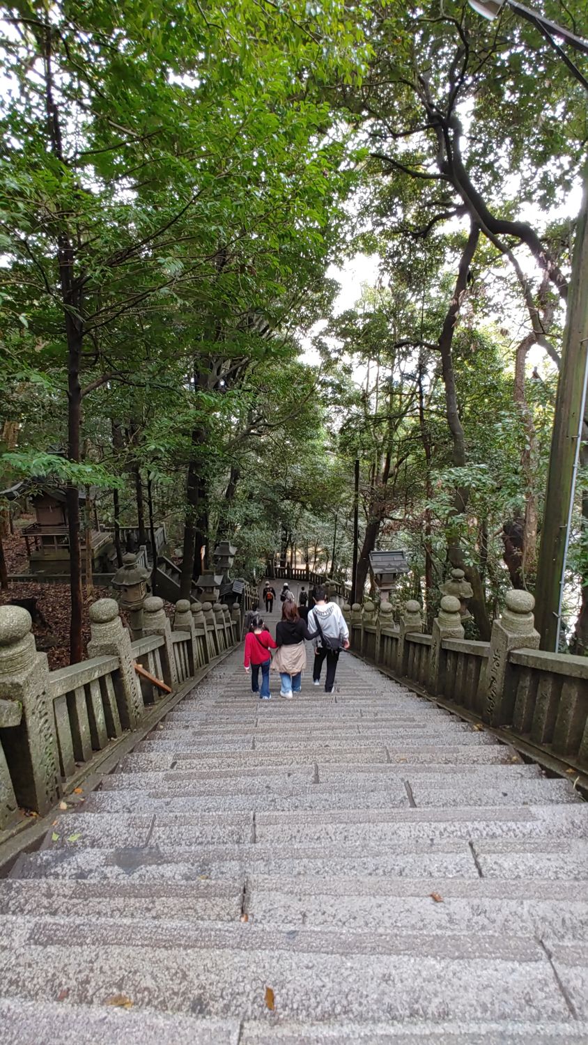 looking down at some stairs with some tourists walking down