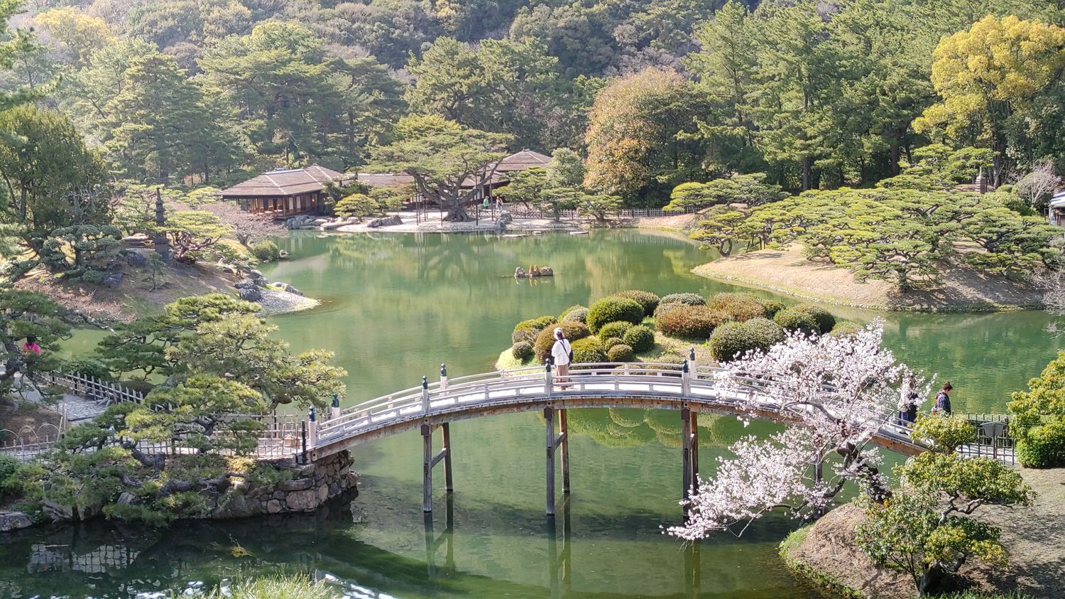 on a small hill overlooking the pond with the building on the other side. A Japanese style bridge spans a narrower portion of the pond